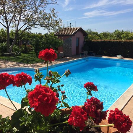 Il Giardino Segreto Panzió Trappitello Kültér fotó