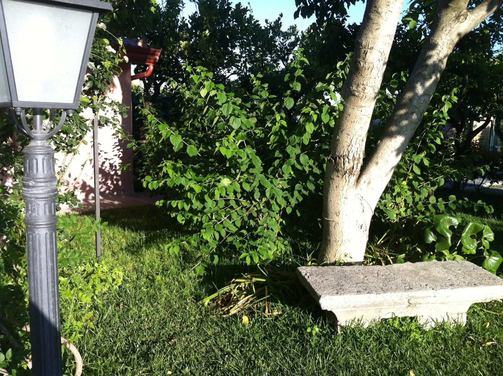 Il Giardino Segreto Panzió Trappitello Kültér fotó