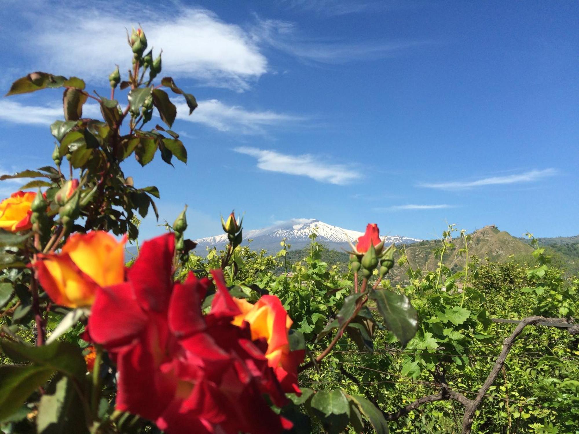 Il Giardino Segreto Panzió Trappitello Szoba fotó