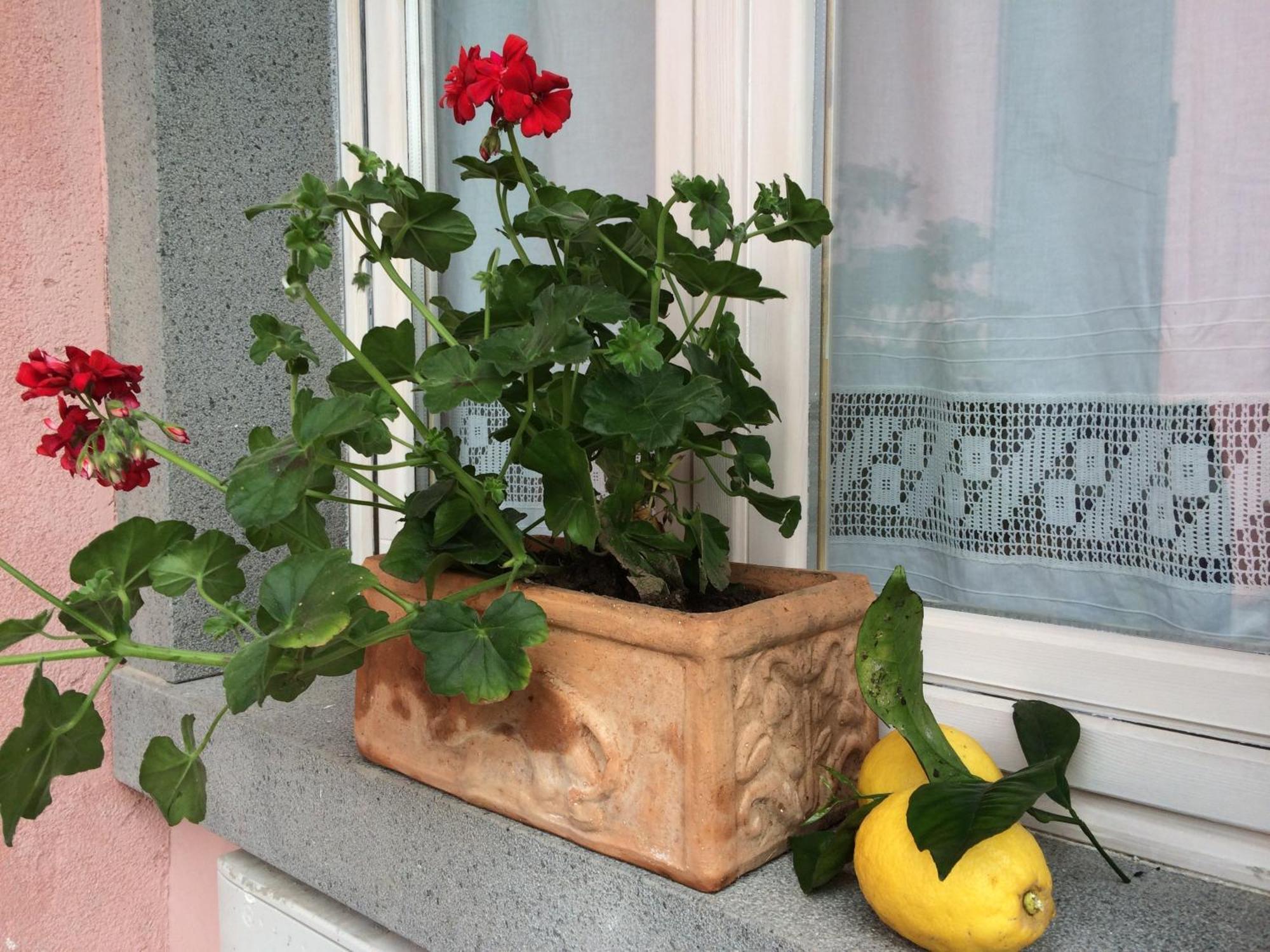 Il Giardino Segreto Panzió Trappitello Kültér fotó
