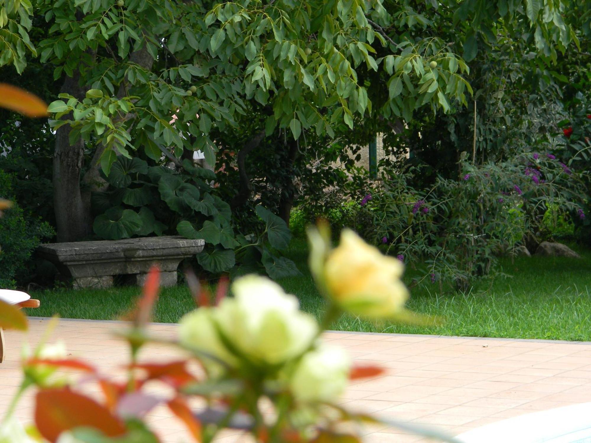 Il Giardino Segreto Panzió Trappitello Kültér fotó