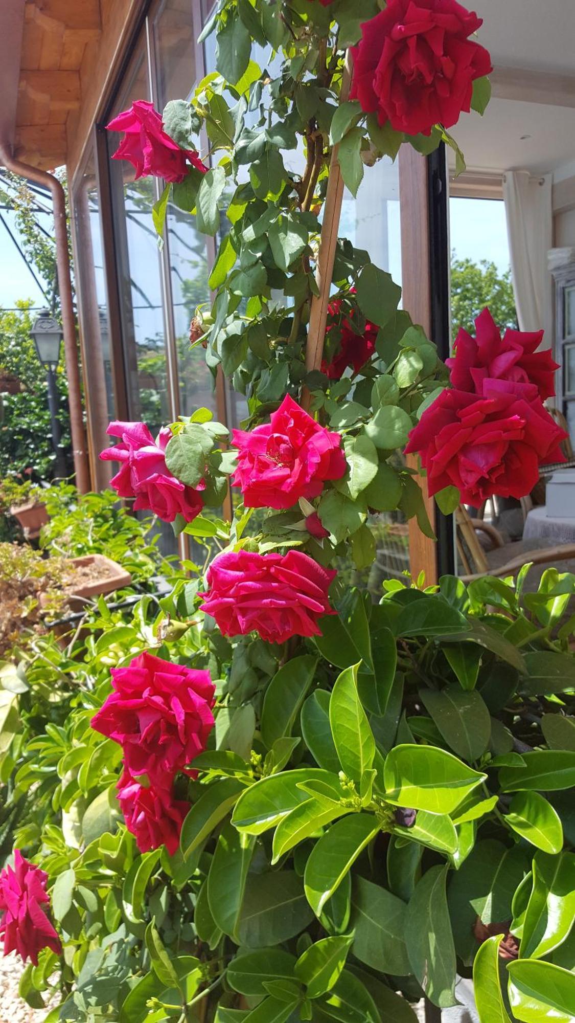 Il Giardino Segreto Panzió Trappitello Kültér fotó